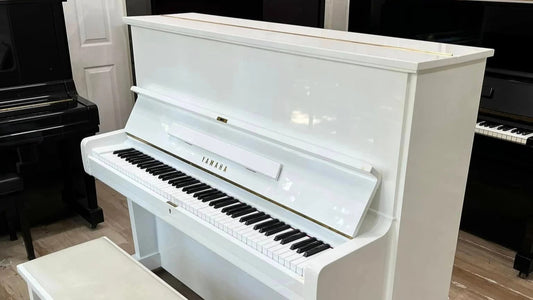 Yamaha U2C Có Đáng Mua Không? Đánh Giá Chi Tiết Từ Việt Music