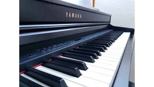 Có Thể Sử Dụng Guitar Amp Cho Đàn Piano Điện Được Không?