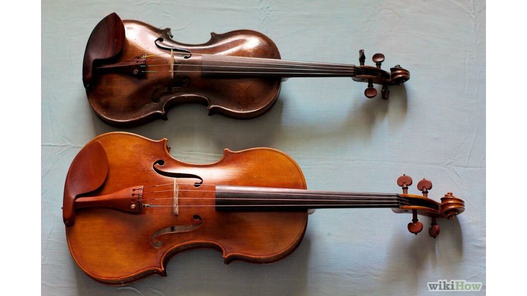 Sự Khác Biệt Giữa Viola Và Violin