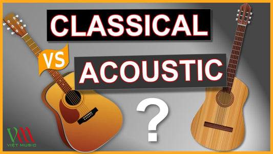 Nên Mua Đàn Guitar Acoustic hay Guitar Classic Cho Người Mới Học