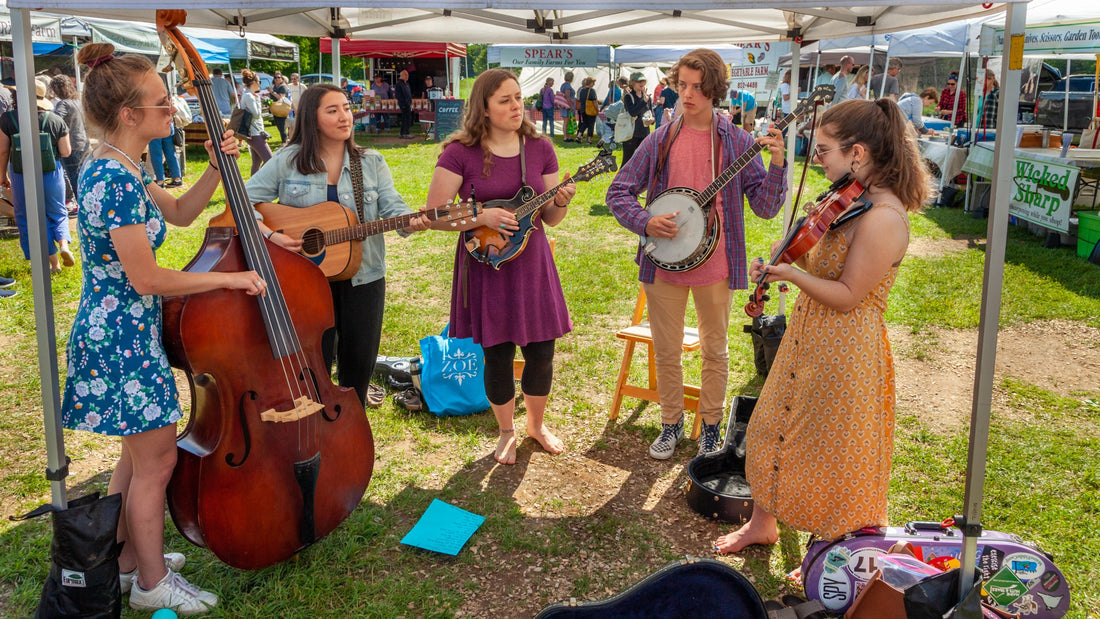 Top 10 Nhạc Cụ Chơi Nhạc Bluegrass Hay Nhất