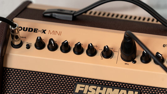 Tìm Hiểu Fishman Loudbox Mini Bluetooth