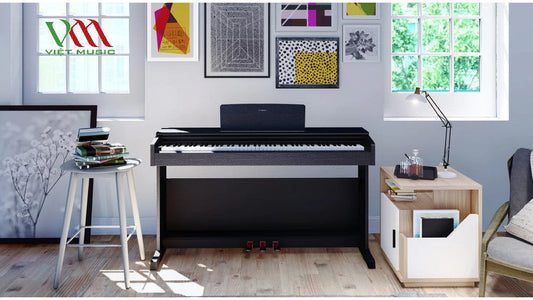 Top Những Cây Đàn Piano Điện Giá Rẻ Cho Người Mới Học