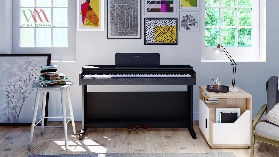Nên Mua Đàn Piano Bao Nhiêu Tiền Là Hợp Lý? Giá Đàn Piano Cơ, Piano Điện