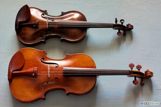 Sự Khác Biệt Giữa Viola Và Violin