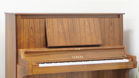 Yamaha W101 Có Đáng Mua Không? Đánh Giá Chi Tiết Từ Việt Music