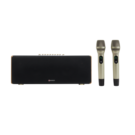 Loa Sumico HS52, 150W - Việt Music