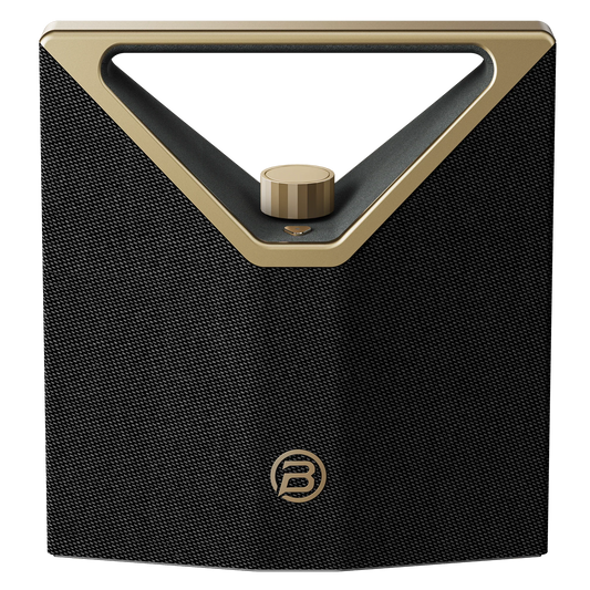Loa Bugani Brief Plus, 100W - Việt Music