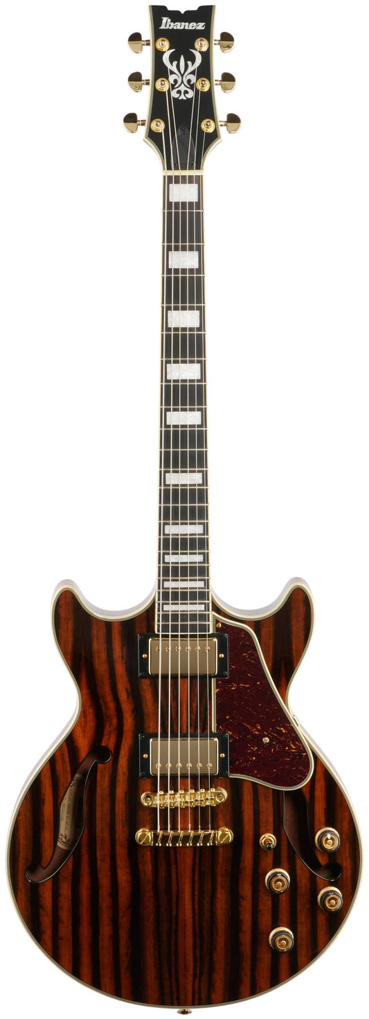 Đàn Guitar Điện Ibanez AM93ME HH, Ebony Fingerboard - Việt Music