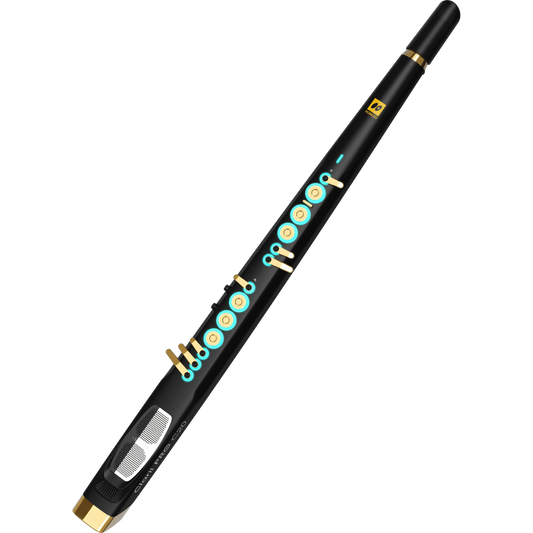 Sáo Điện Robkoo Clarii Pro C200 - Việt Music