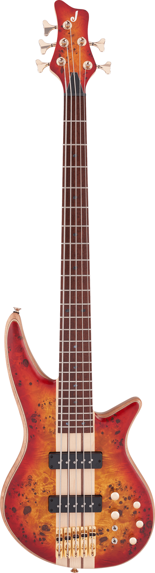 Đàn Guitar Bass Jackson Pro Series Spectra Bass SBP V HH, Jatoba Fingerboard - 5 Strings - Việt Music