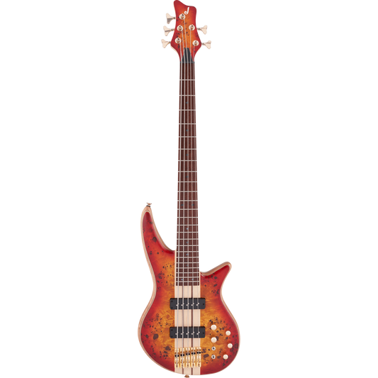 Đàn Guitar Bass Jackson Pro Series Spectra Bass SBP V HH, Jatoba Fingerboard - 5 Strings - Việt Music
