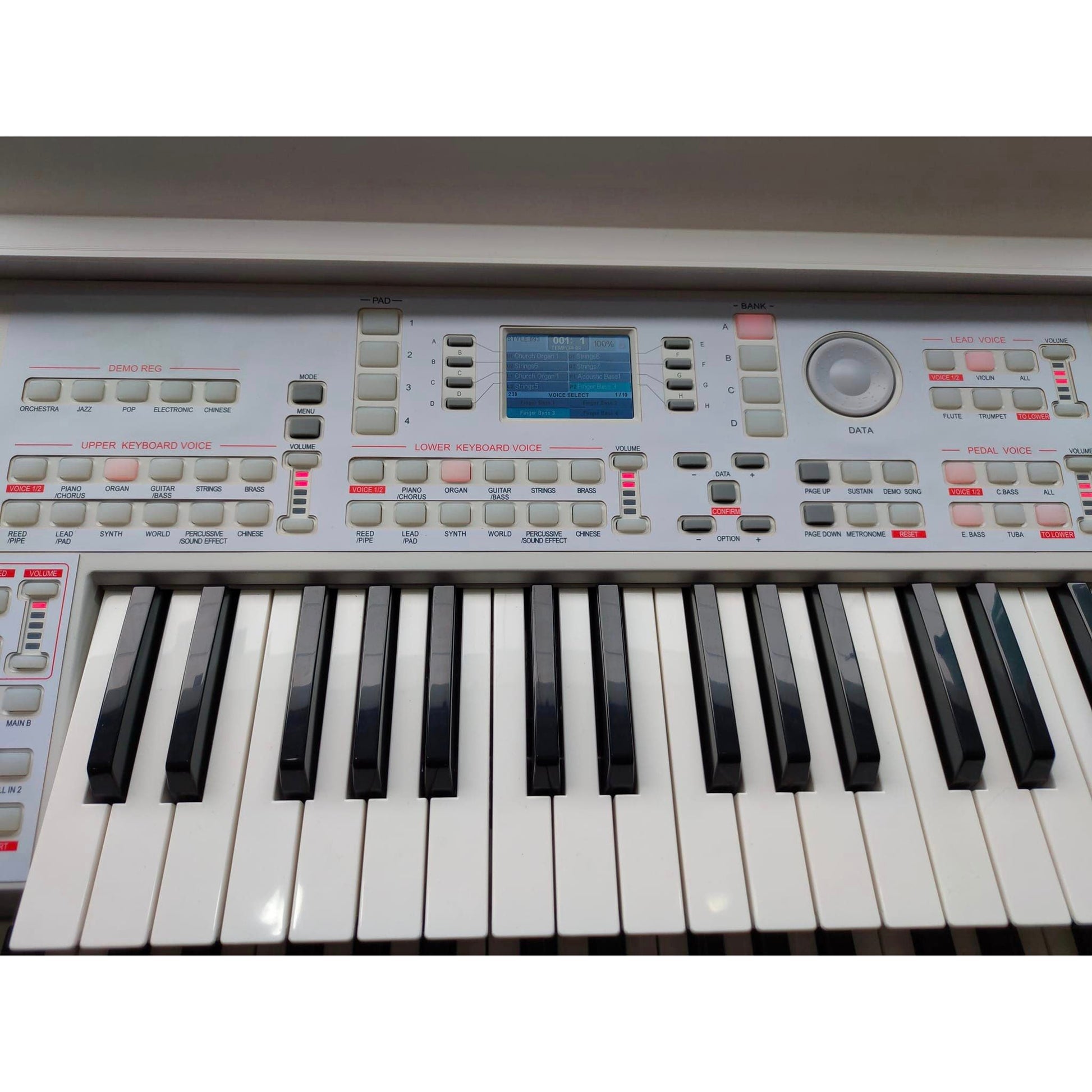 Đàn Electone Ringway RS520 - Việt Music