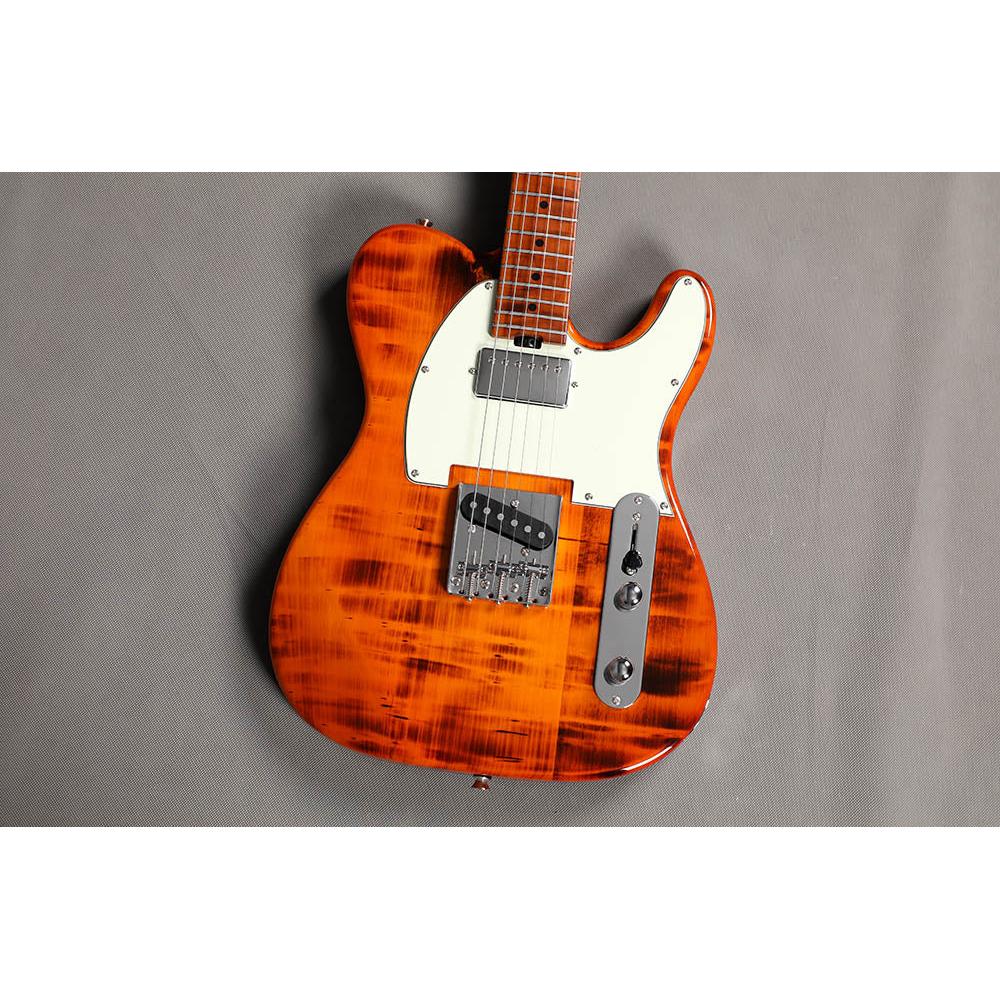Đàn Guitar Điện Sqoe SETL980 HS, Maple Fingerboard - Việt Music