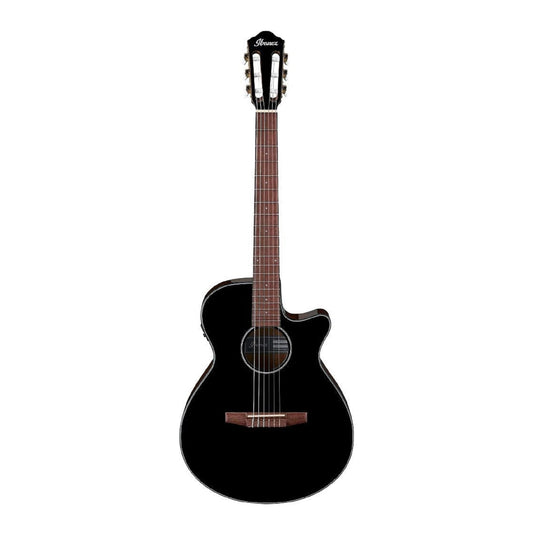 Đàn Guitar Classic Ibanez AEG50N - Việt Music