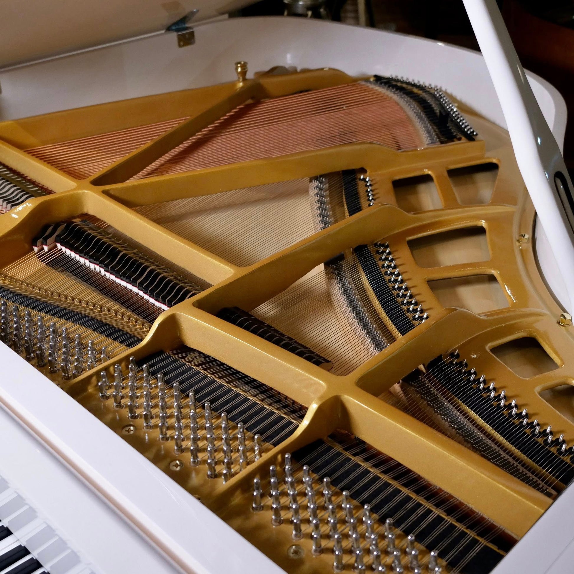 Grand Piano Steinhoven SG-150 - Qua Sử Dụng - Việt Music