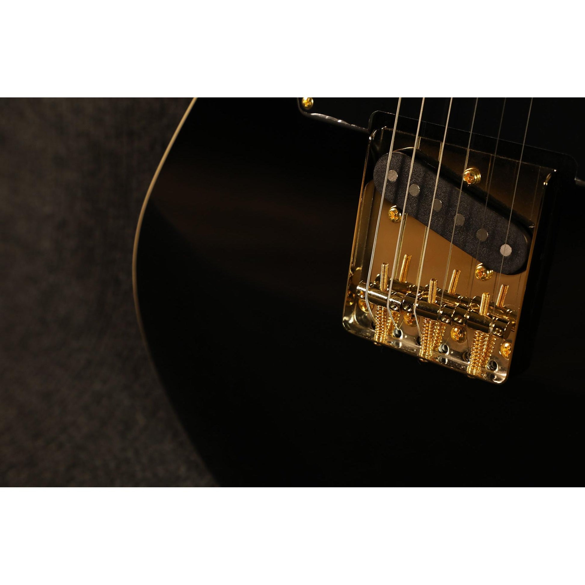 Đàn Guitar Điện Sqoe SETL1009 SS, Maple Fingerboard - Việt Music
