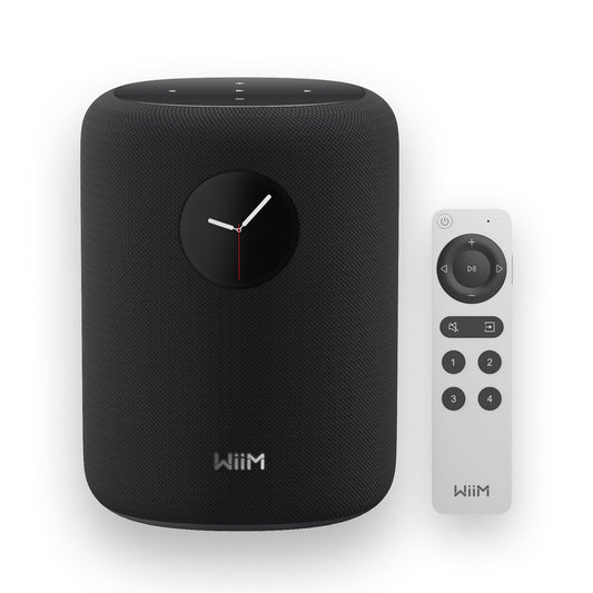 Loa WiiM Sound Bluetooth, 100W - Việt Music