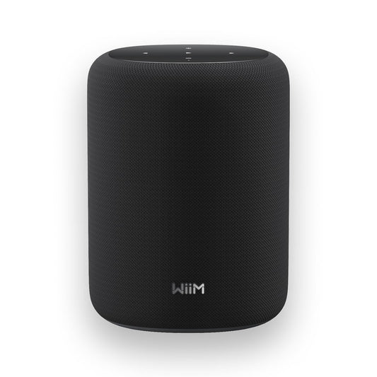 Loa WiiM Sound Lite Bluetooth, 100W - Việt Music