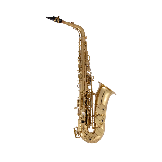 Kèn Saxophone Alto Yanagisawa A-WO10 - Việt Music