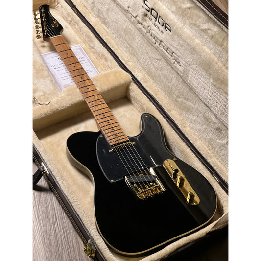 Đàn Guitar Điện Sqoe SETL1009 SS, Rosewood Fingerboard - Việt Music