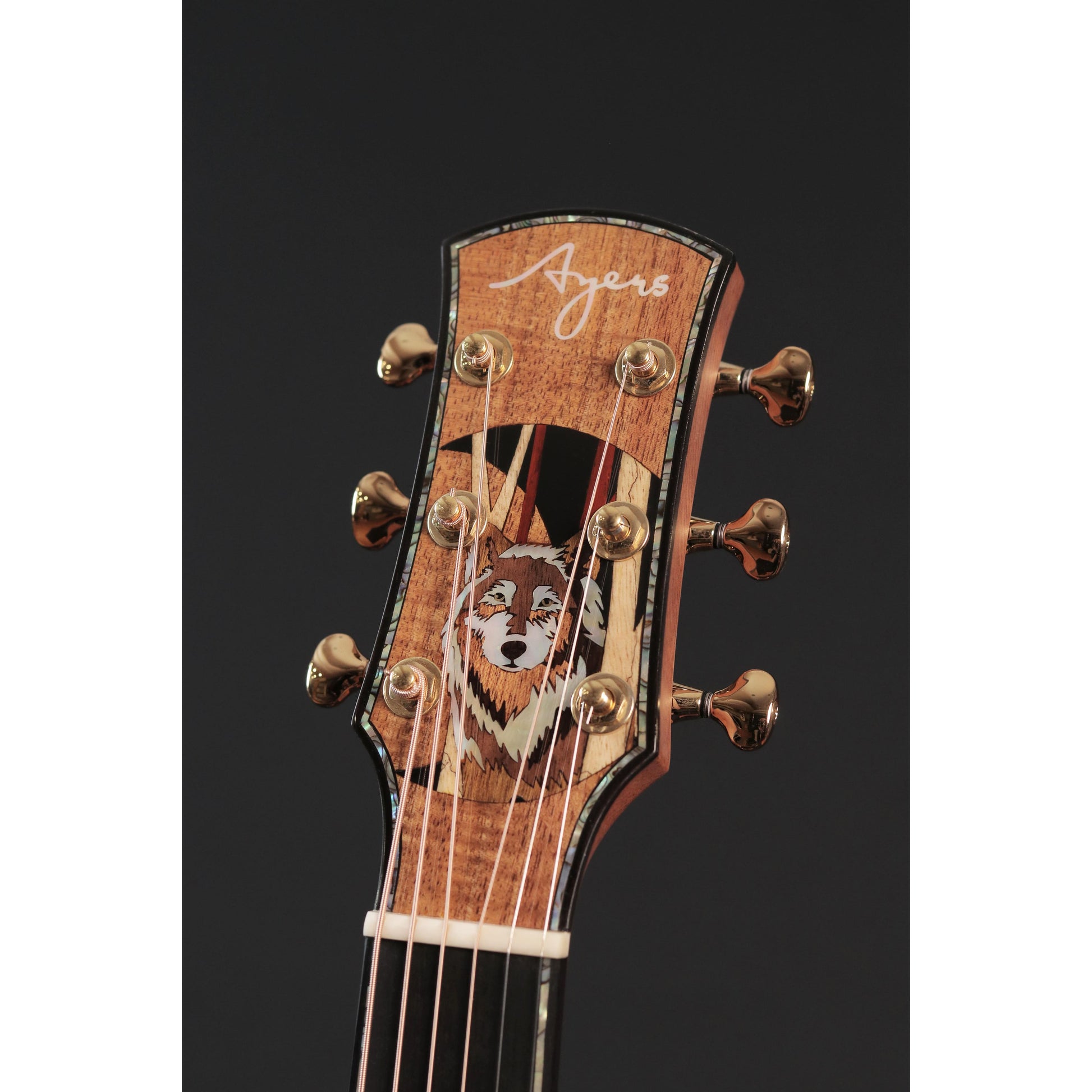 Đàn Guitar Acoustic Ayers Custom Wolf - Việt Music