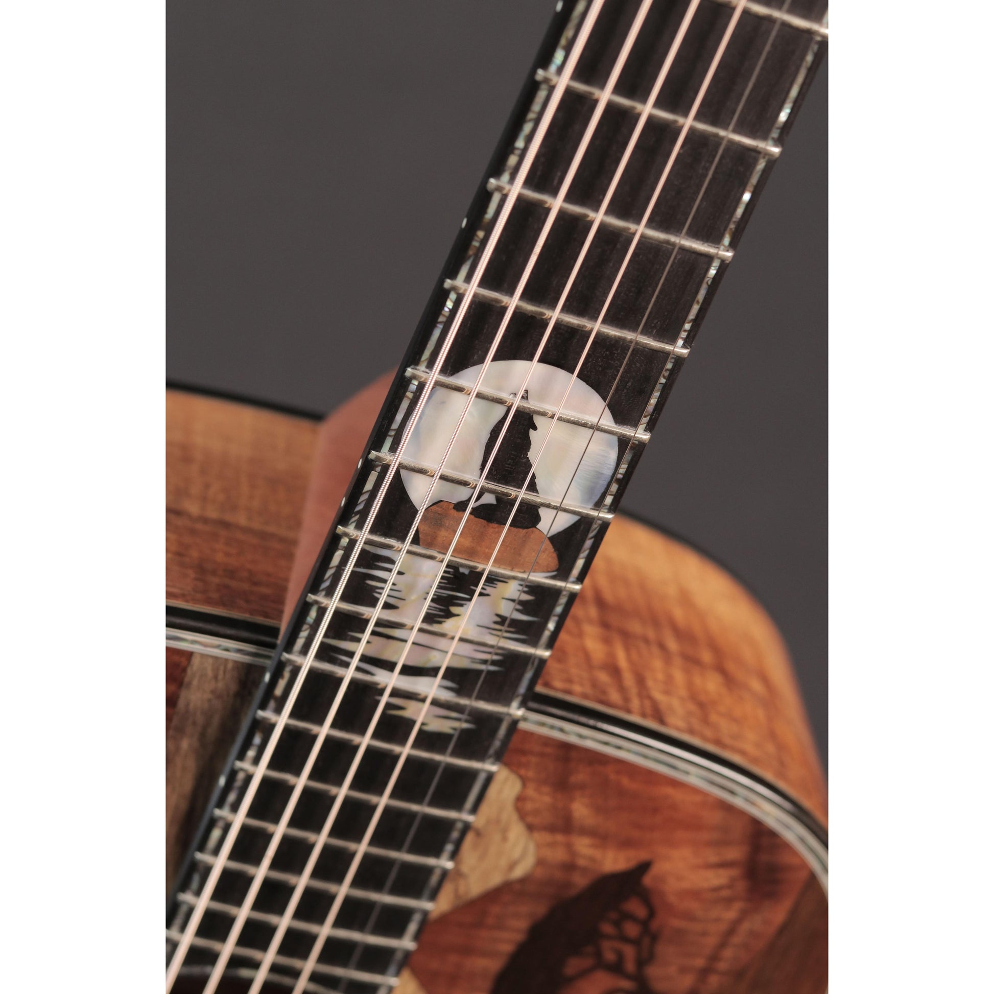 Đàn Guitar Acoustic Ayers Custom Wolf - Việt Music