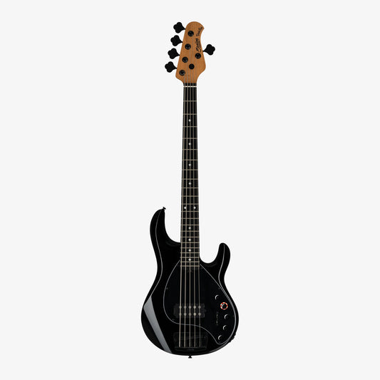 Đàn Guitar Bass DarkRay 5 H, Ebony Fingerboard - 5 Strings - Việt Music