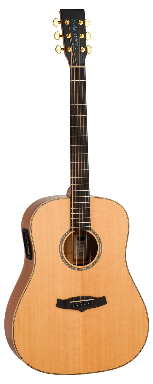 Đàn Guitar Acoustic Tanglewood TGB5SE - Việt Music
