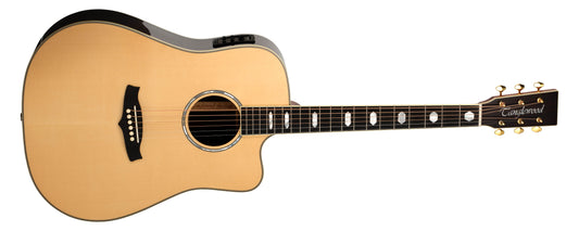 Đàn Guitar Acoustic Tanglewood TW1000HSRCE - Việt Music