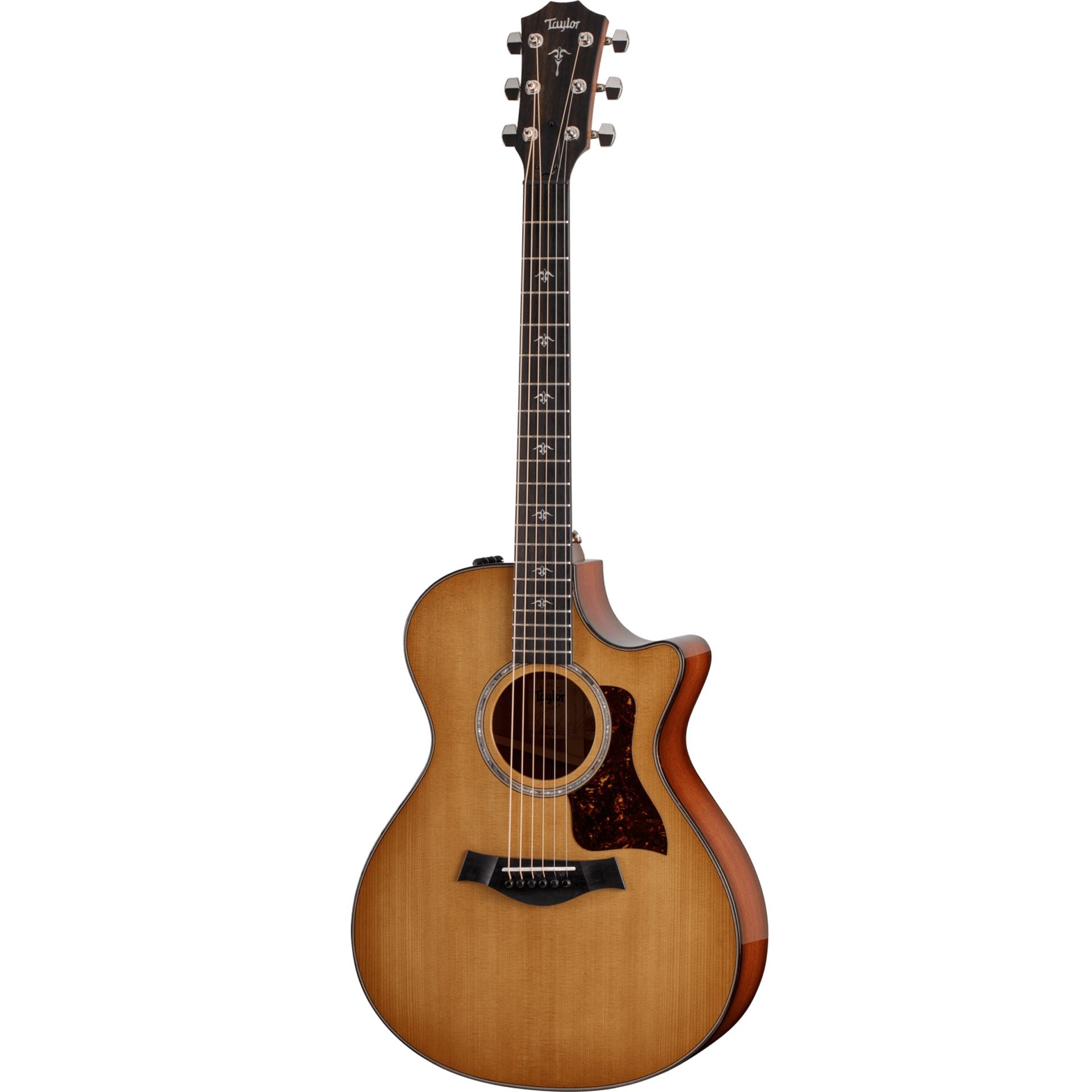 Đàn Guitar Acoustic Taylor 512CE - Grand Concert - Việt Music