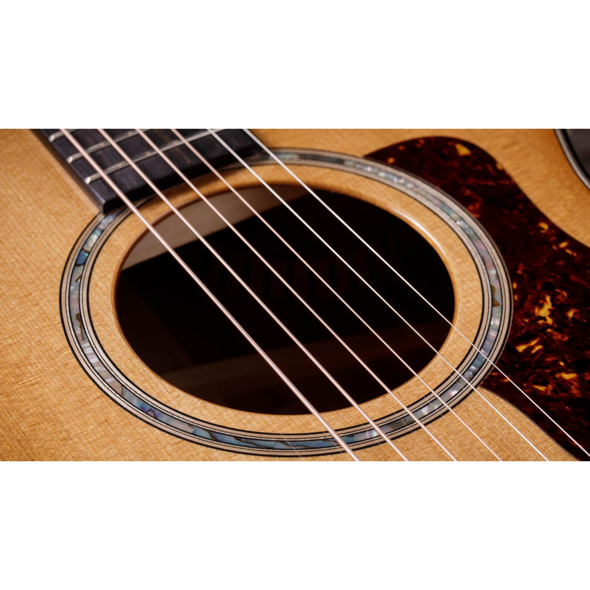 Đàn Guitar Acoustic Taylor 512CE - Grand Concert - Việt Music