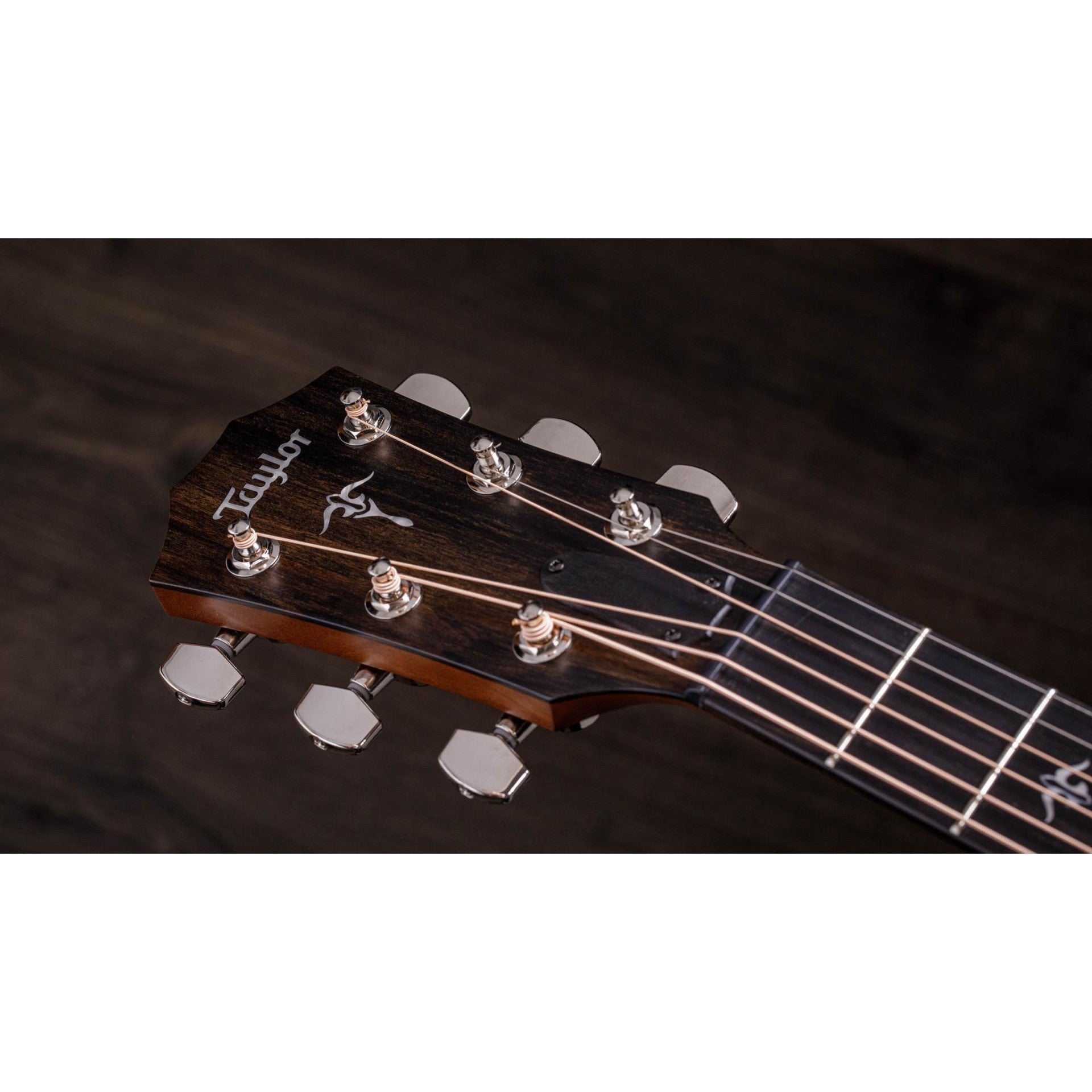 Đàn Guitar Acoustic Taylor 512CE - Grand Concert - Việt Music
