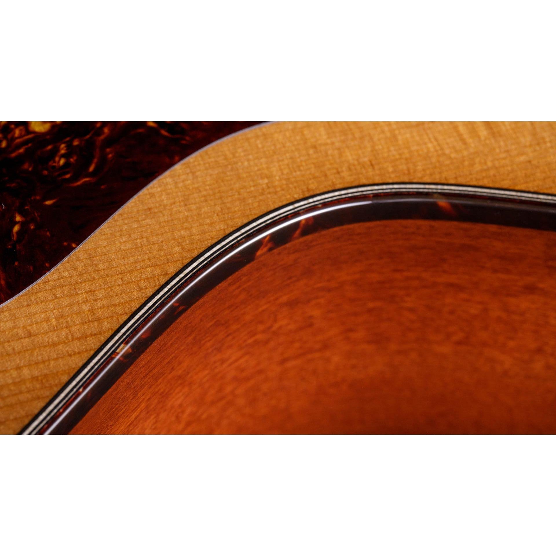 Đàn Guitar Acoustic Taylor 512CE - Grand Concert - Việt Music