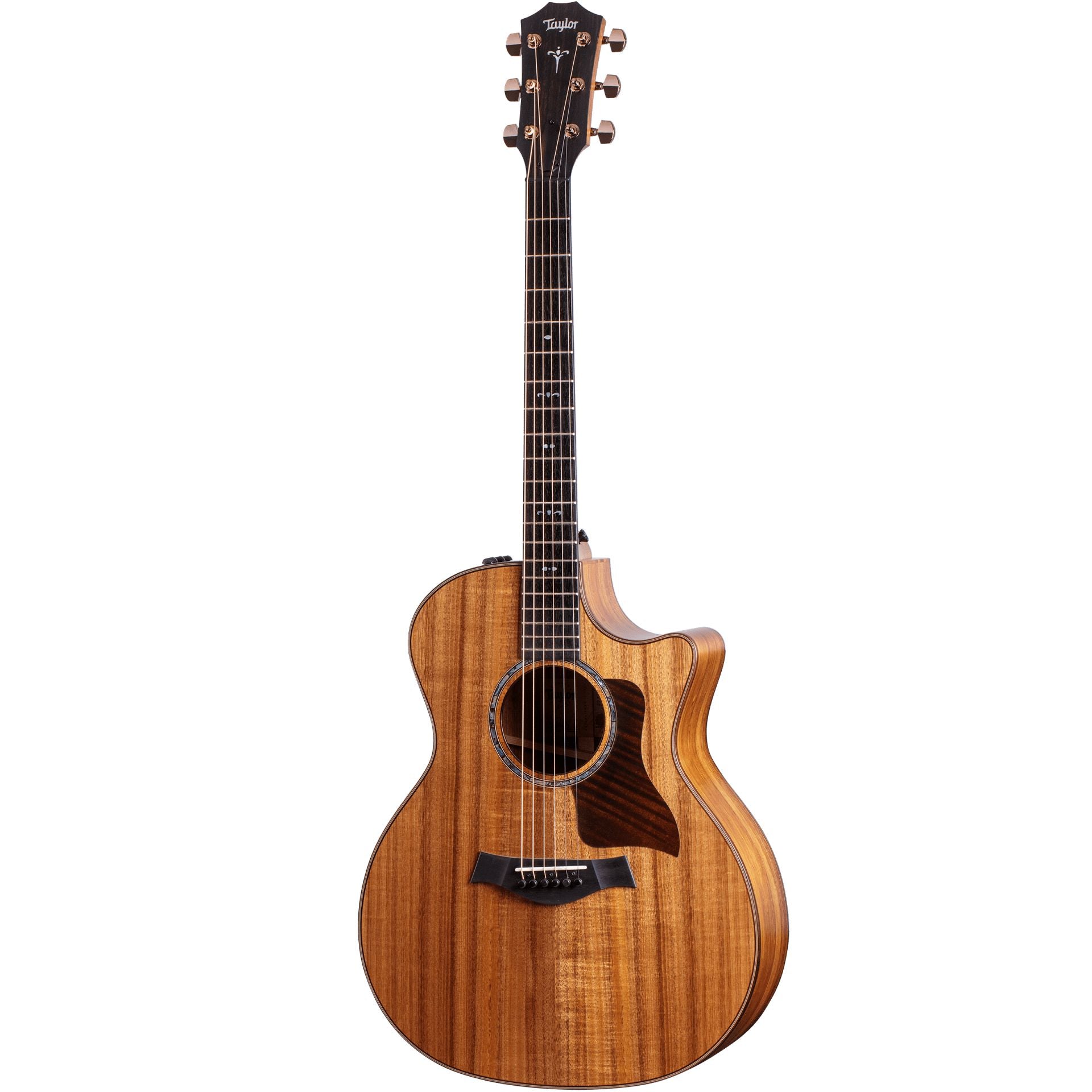 Đàn Guitar Acoustic Taylor 724CE - Grand Auditorium - Việt Music