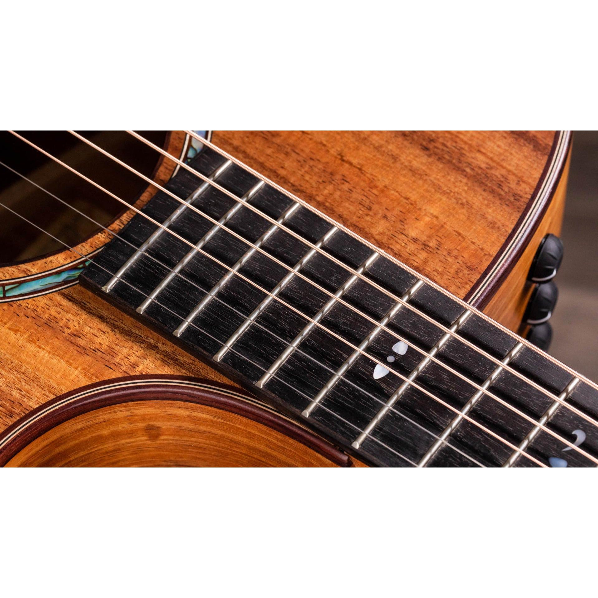Đàn Guitar Acoustic Taylor 724CE - Grand Auditorium - Việt Music