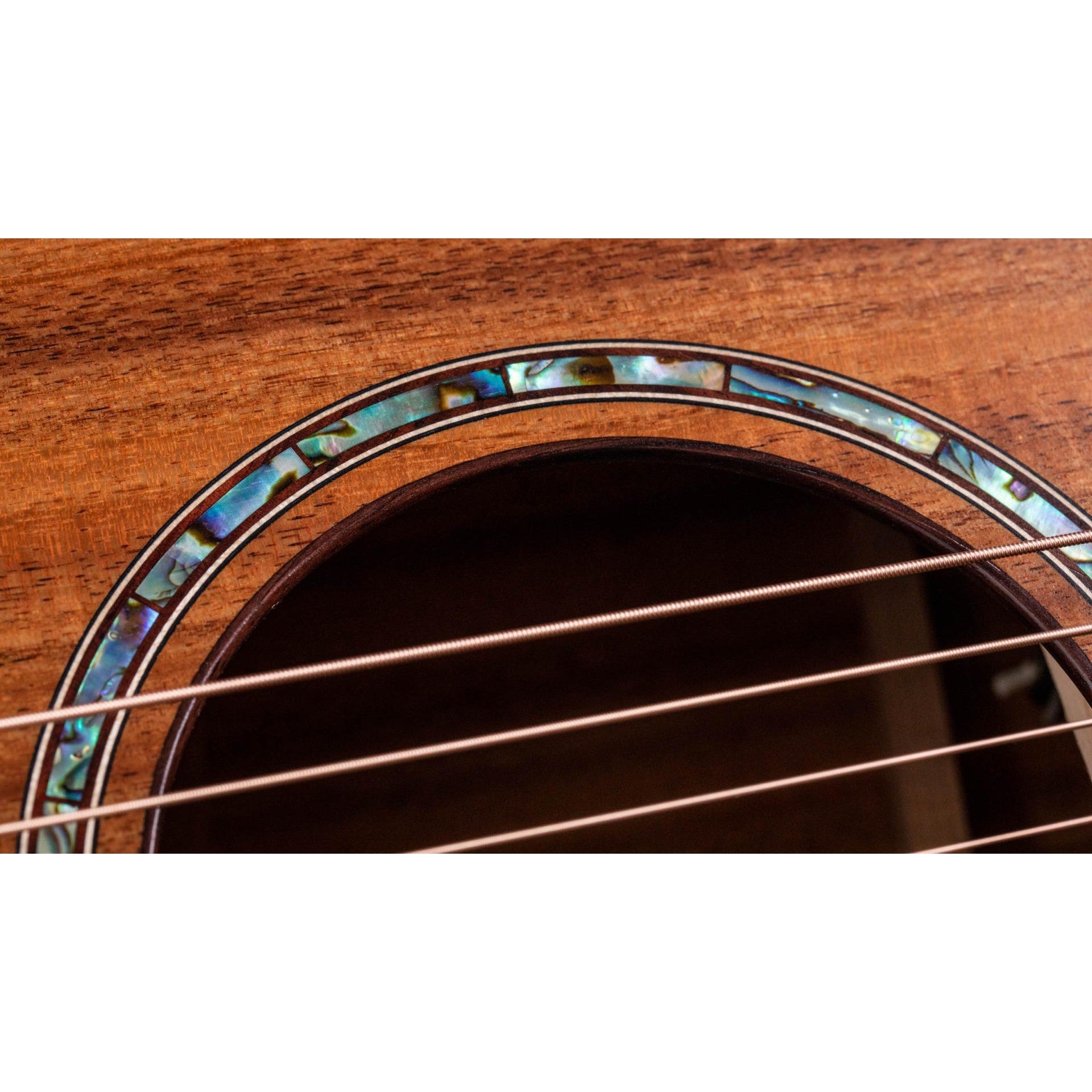 Đàn Guitar Acoustic Taylor 724CE - Grand Auditorium - Việt Music