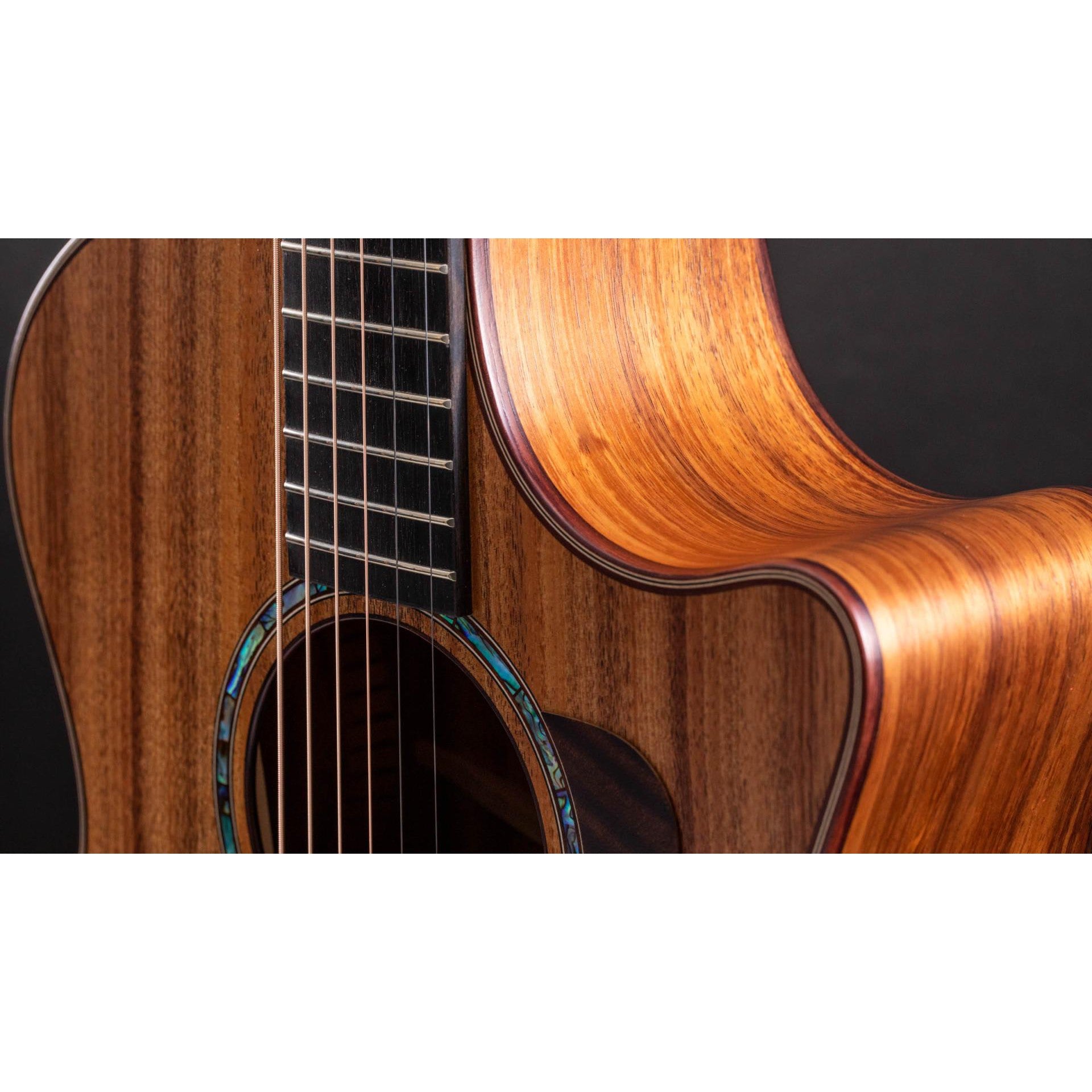 Đàn Guitar Acoustic Taylor 724CE - Grand Auditorium - Việt Music