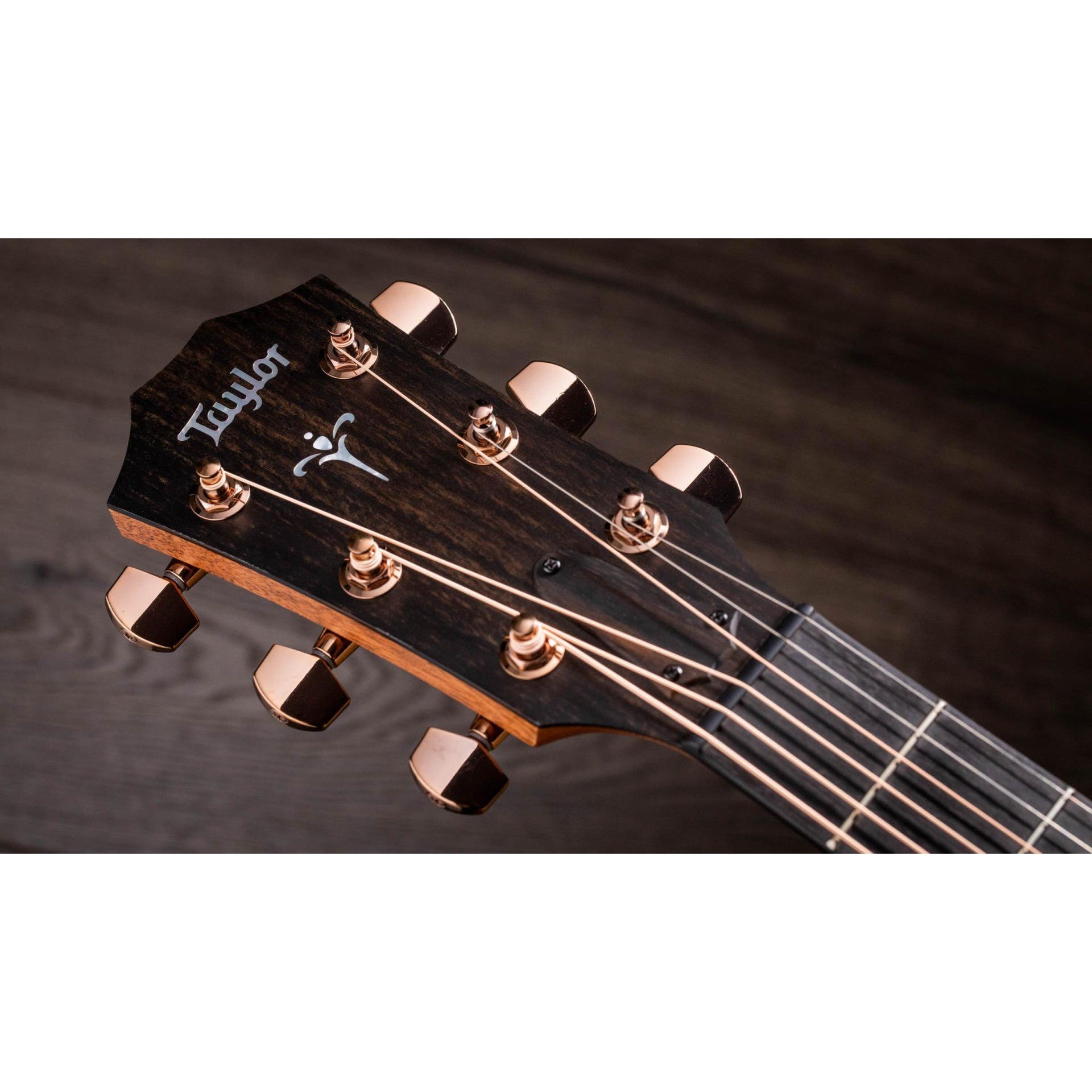 Đàn Guitar Acoustic Taylor 724CE - Grand Auditorium - Việt Music