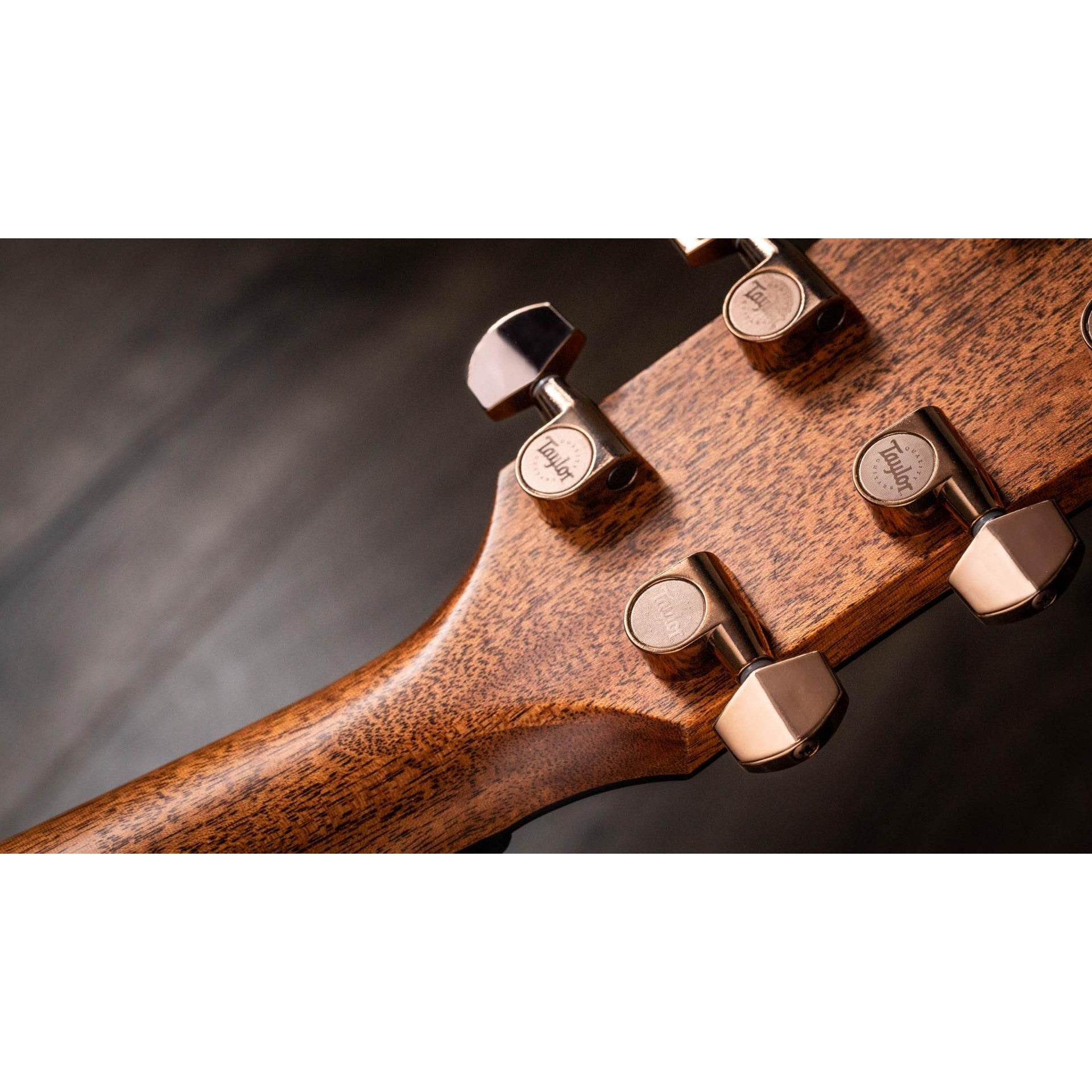 Đàn Guitar Acoustic Taylor 724CE - Grand Auditorium - Việt Music