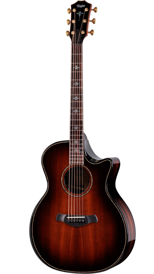Đàn Guitar Acoustic Taylor Builder's Edition 914ce LTD Macassar Ebony - Việt Music