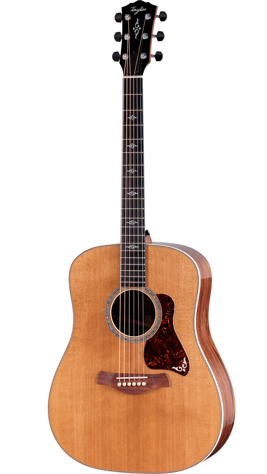 Đàn Guitar Acoustic Taylor Gold Label 810e - Việt Music