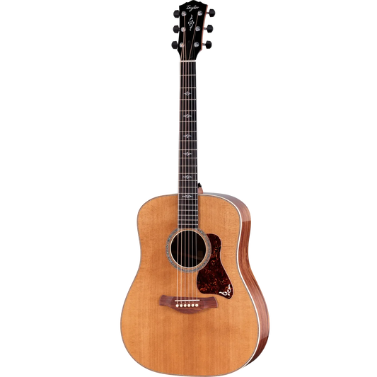 Đàn Guitar Acoustic Taylor Gold Label 810e - Việt Music