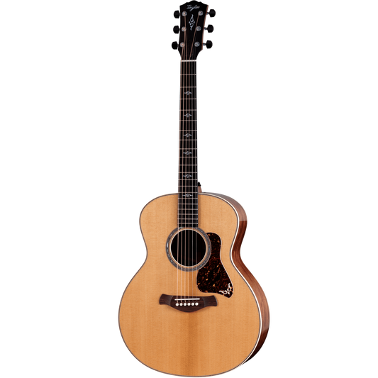 Đàn Guitar Taylor Gold Label 814E - Việt Music