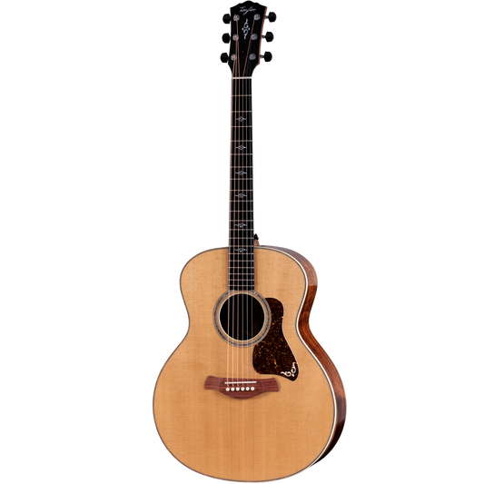 Đàn Guitar Acoustic Taylor Gold Label 814e Koa - Việt Music