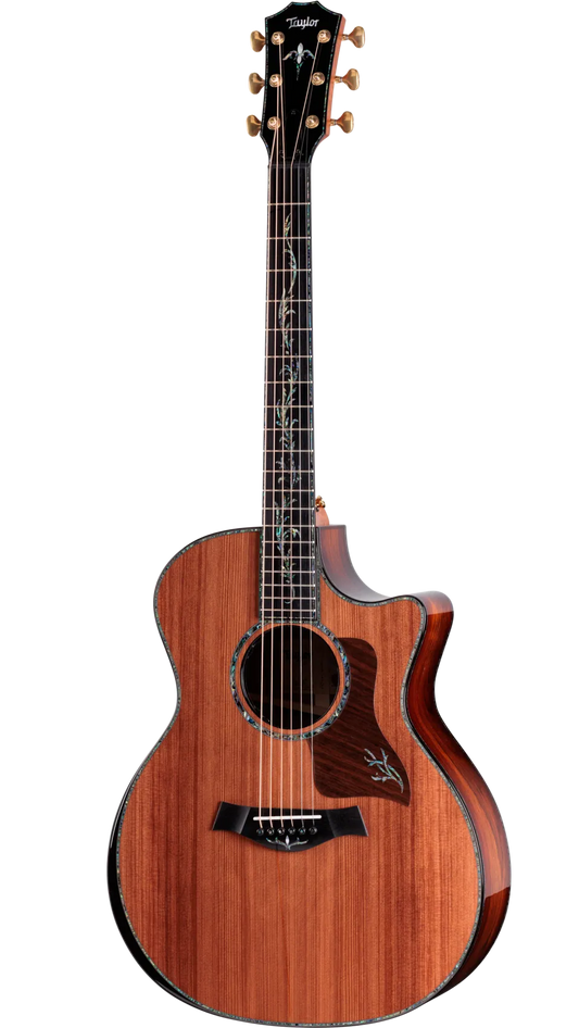 Đàn Guitar Acoustic Taylor Next Generation PS14CE