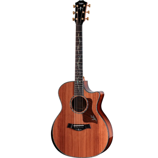 Đàn Guitar Acoustic Taylor Next Generation PS14CE - Việt Music