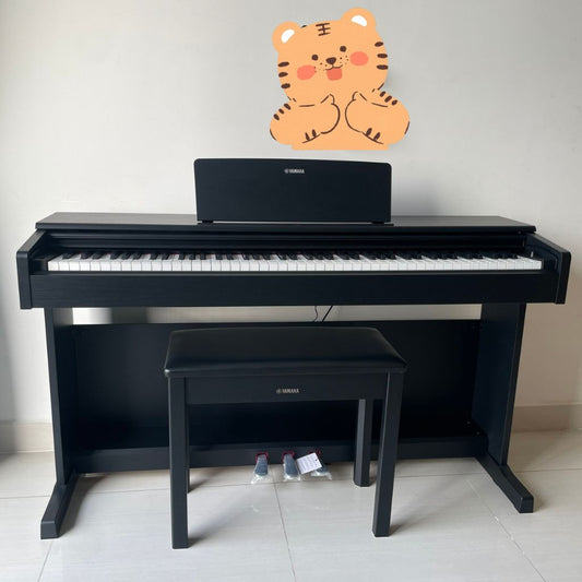 Đàn Piano Điện Yamaha YDP-145 - ARIUS - Qua Sử Dụng - Việt Music