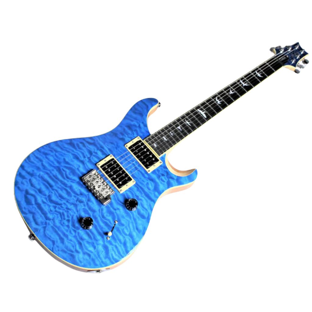 PRS SE custom24 QM-LTD 楽器 | kinder-und-jugendschutz-im-sport.de