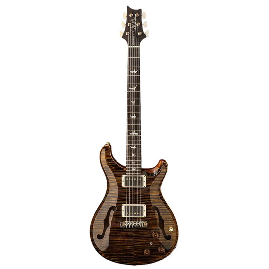 Đàn Guitar Điện PRS Core Hollowbody II Piezo 10-Top HH, Rosewood Fingerboard (2025) - Việt Music